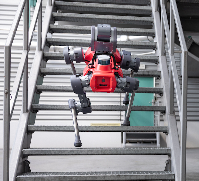 ANYmal robot stairs climbing