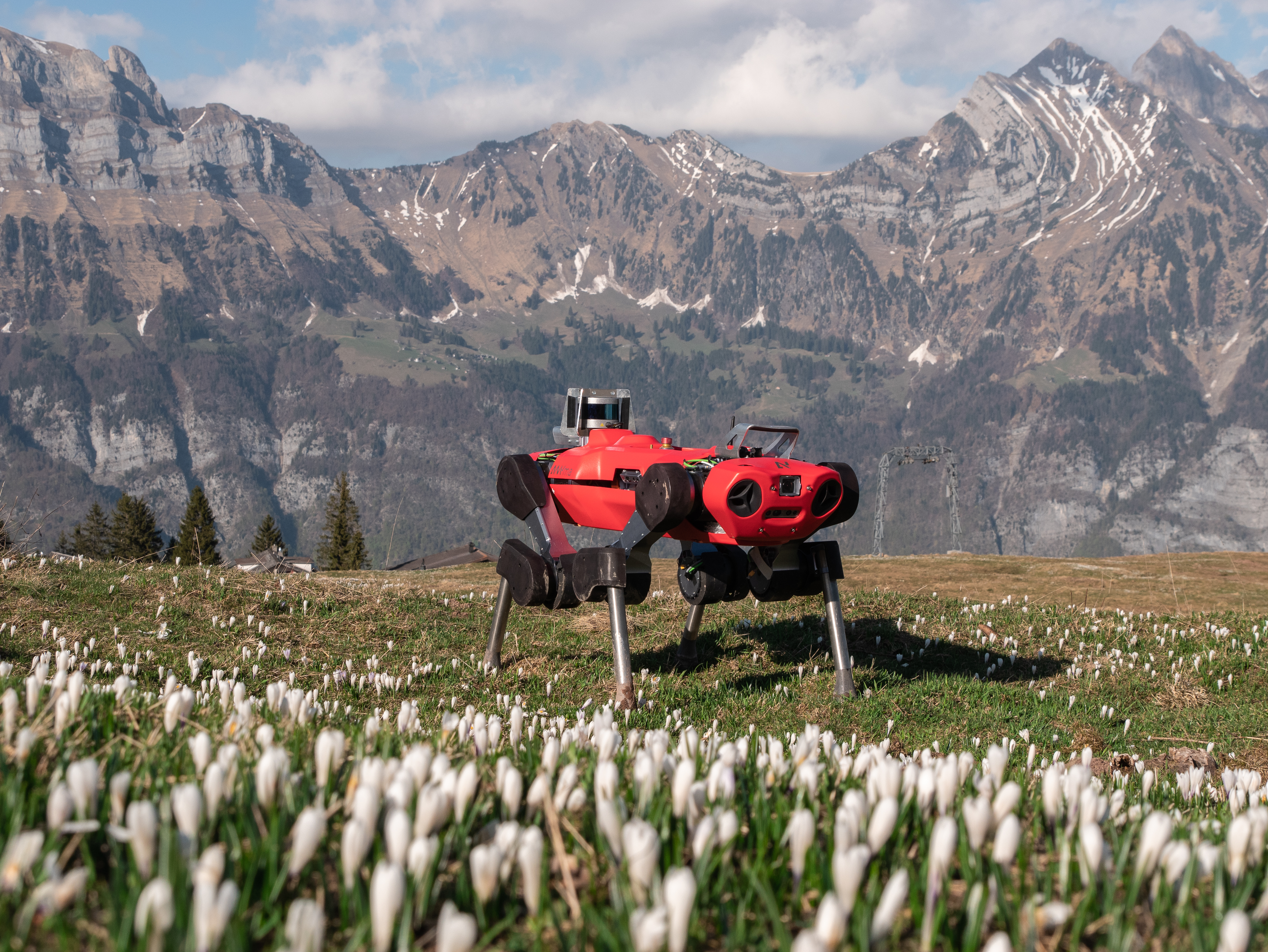 ANYmal robot locomotion capabilities in unstructured natural terrain