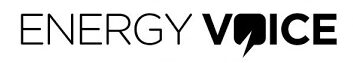 Energy Voice Logo